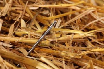 needle-in-a-haystack-close-up
